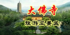 操小骚逼免费视频网站中国浙江-新昌大佛寺旅游风景区